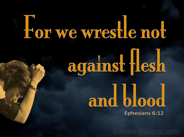 Ephesians 6-12 We Wrestle Not Against Flesh And Blood orange